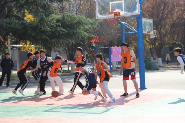 图片5.jpg