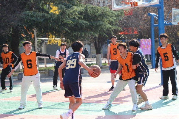 图片6.jpg